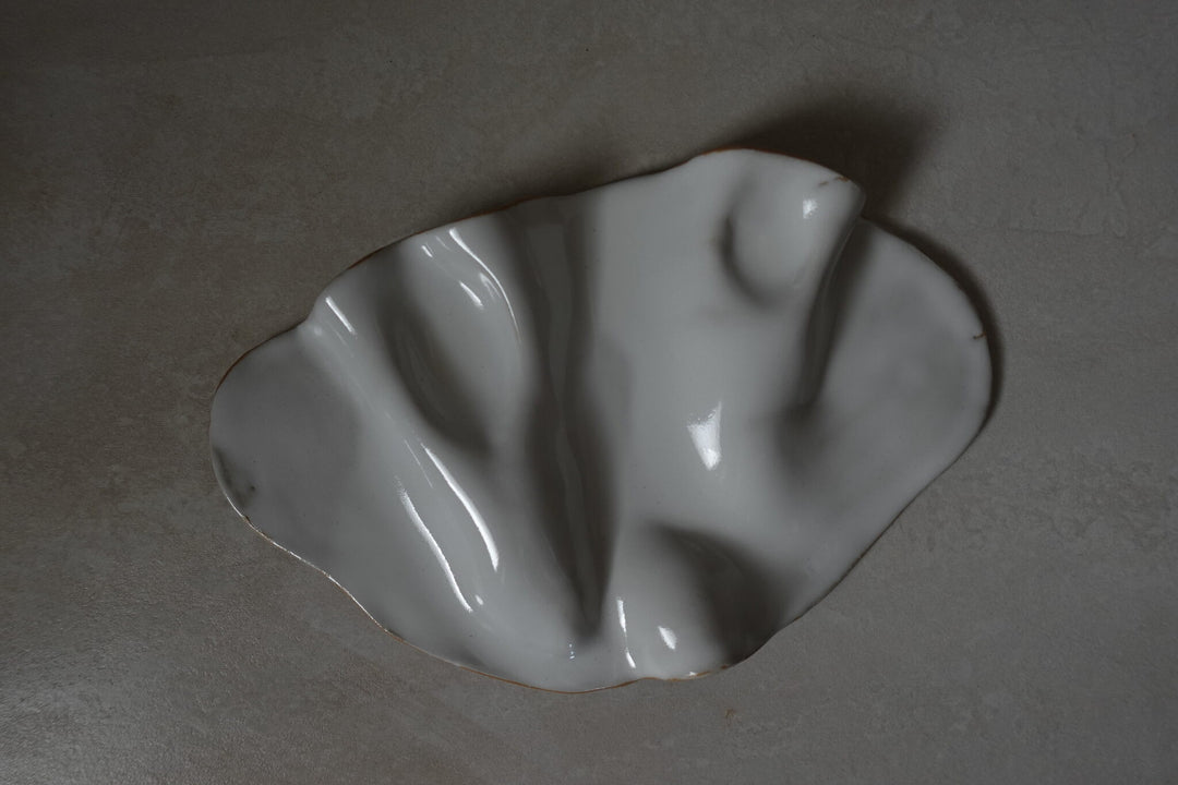 Fluid