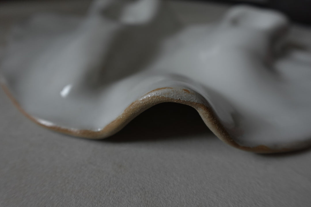 Fluid
