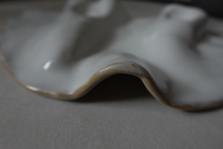Fluid