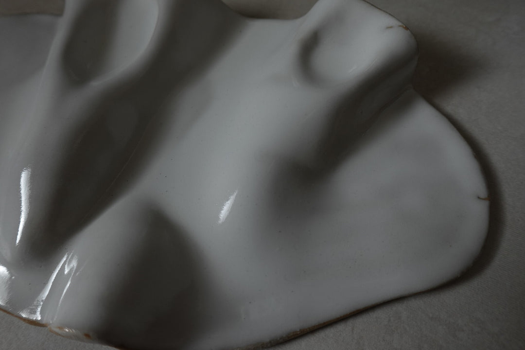 Fluid