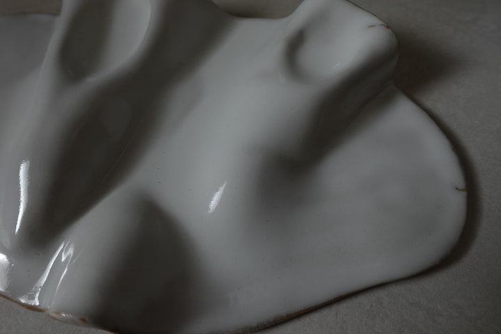 Fluid