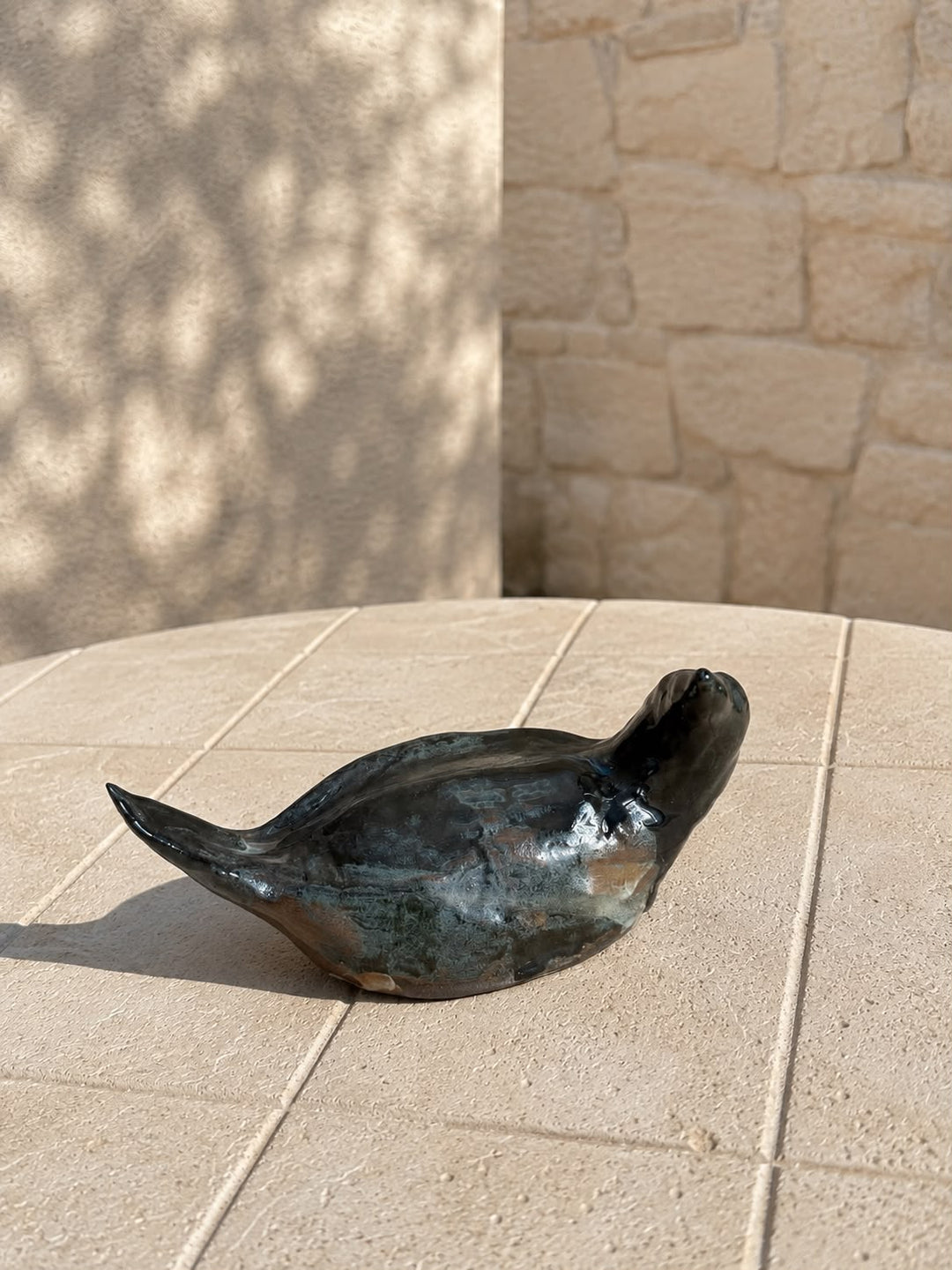 Noa bird